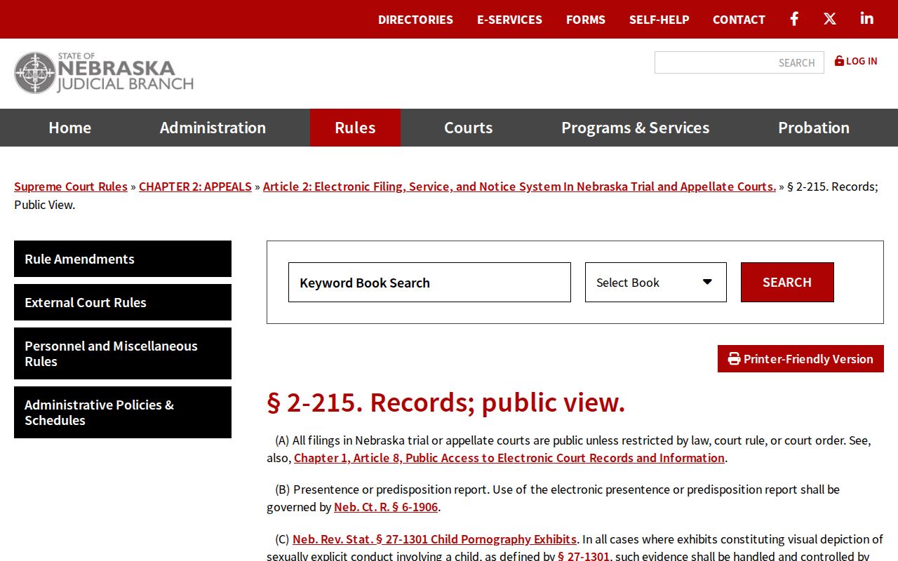 Platte County civil docket public electronic records rule source