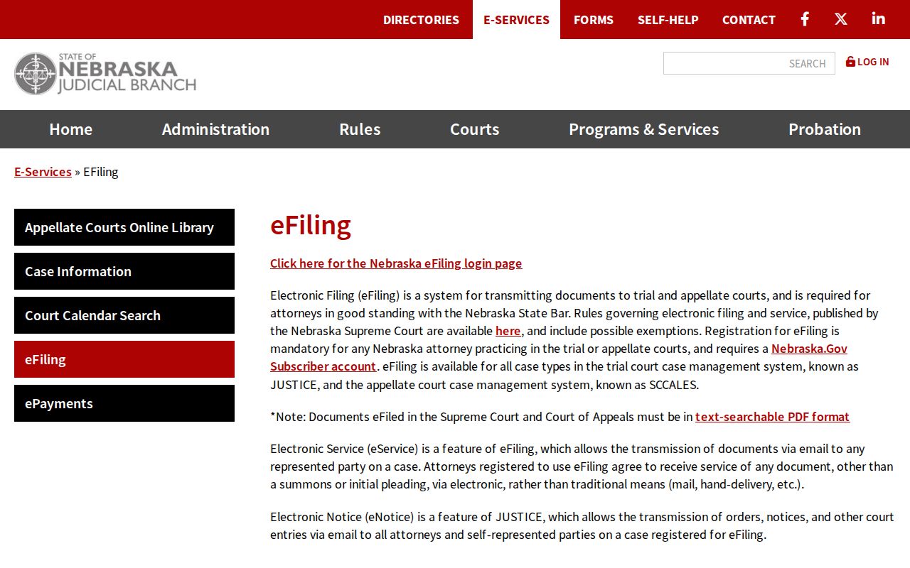 Platte County civil docket Nebraska eFiling source